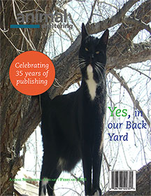 magazine-cover
